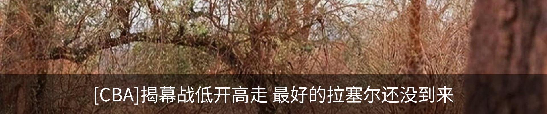 新闻中心